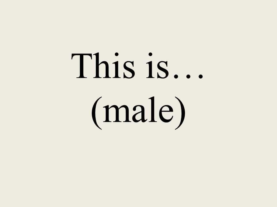This is… (male)