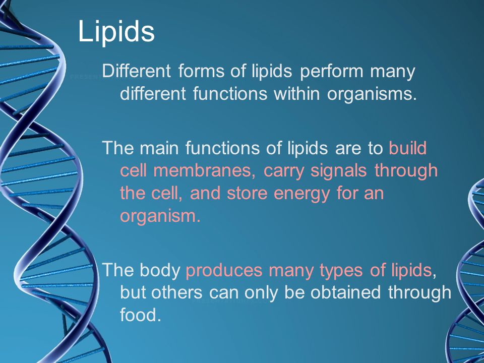 Lipids Different forms of lipids perform many different functions within organisms.