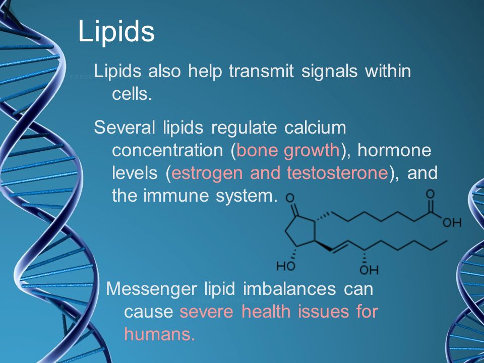 Lipids Lipids also help transmit signals within cells.