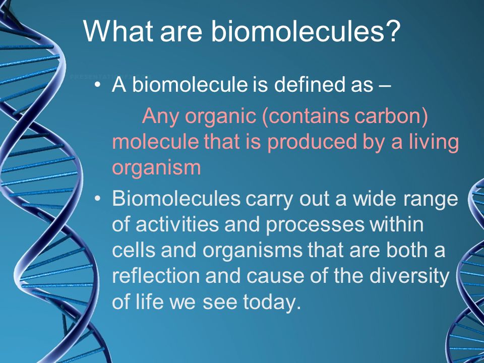 What are biomolecules A biomolecule is defined as –