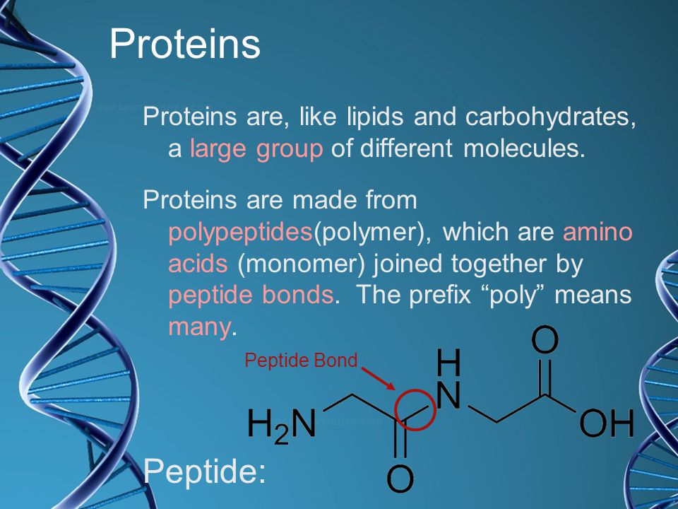 Proteins Proteins are, like lipids and carbohydrates, a large group of different molecules.