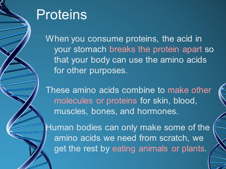 Proteins When you consume proteins, the acid in your stomach breaks the protein apart so that your body can use the amino acids for other purposes.