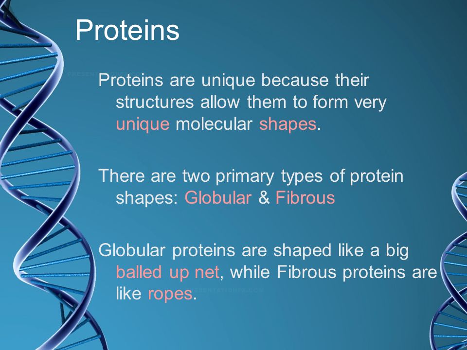 Proteins Proteins are unique because their structures allow them to form very unique molecular shapes.