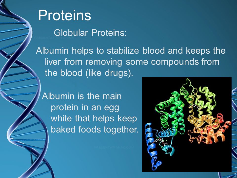 Proteins Globular Proteins: