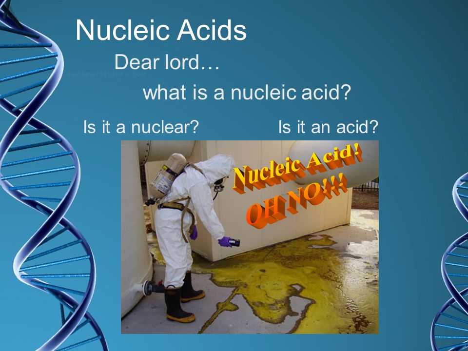 Nucleic Acids Nucleic Acid! OH NO!!! Dear lord…