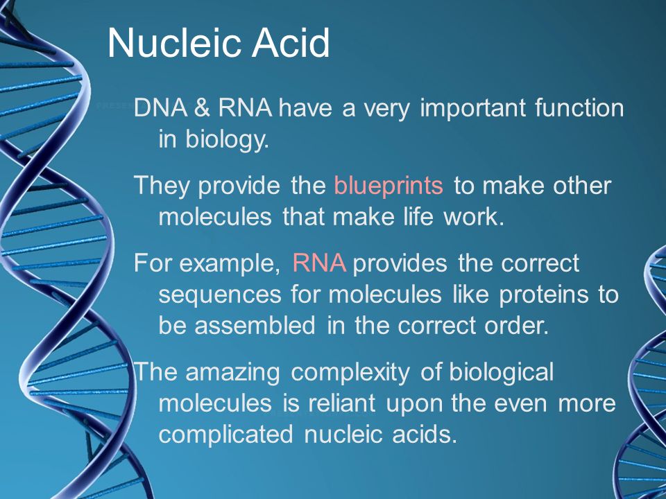 Nucleic Acid DNA & RNA have a very important function in biology.