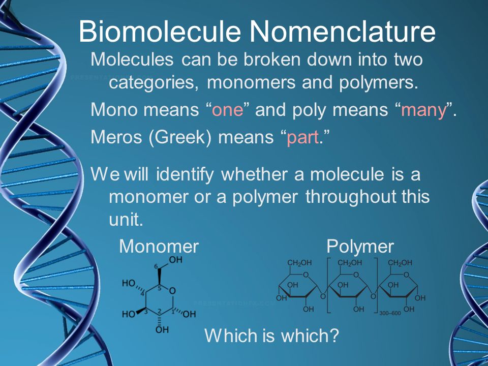 Biomolecule Nomenclature