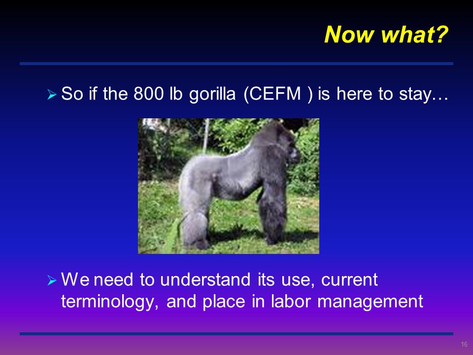 Now what So if the 800 lb gorilla (CEFM ) is here to stay…