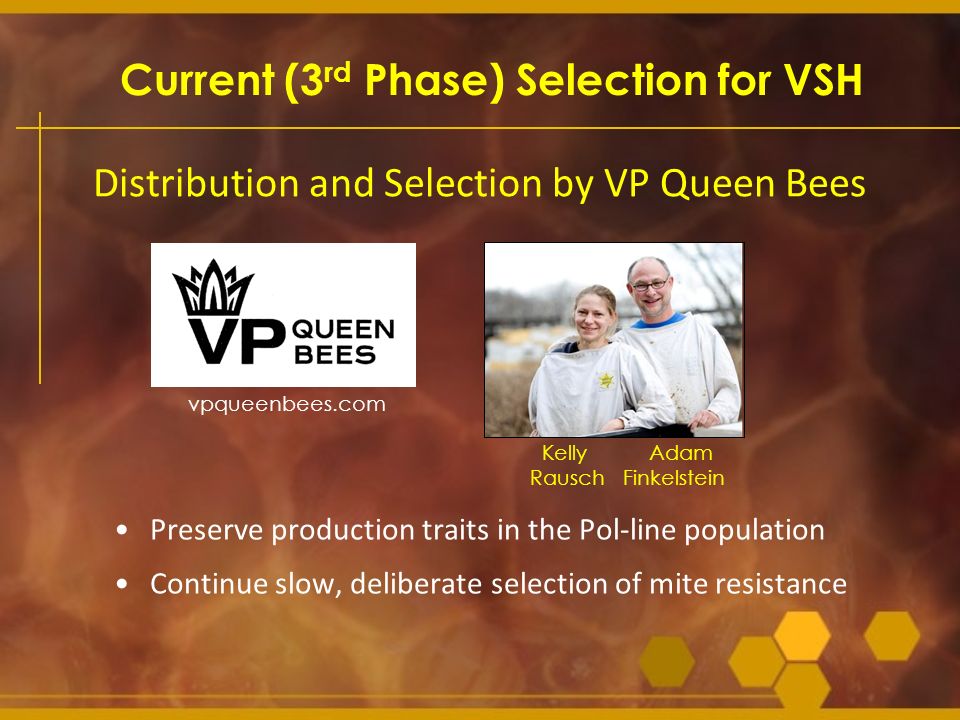 Current (3rd Phase) Selection for VSH