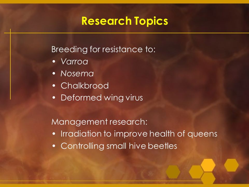 Research Topics Breeding for resistance to: Varroa Nosema Chalkbrood