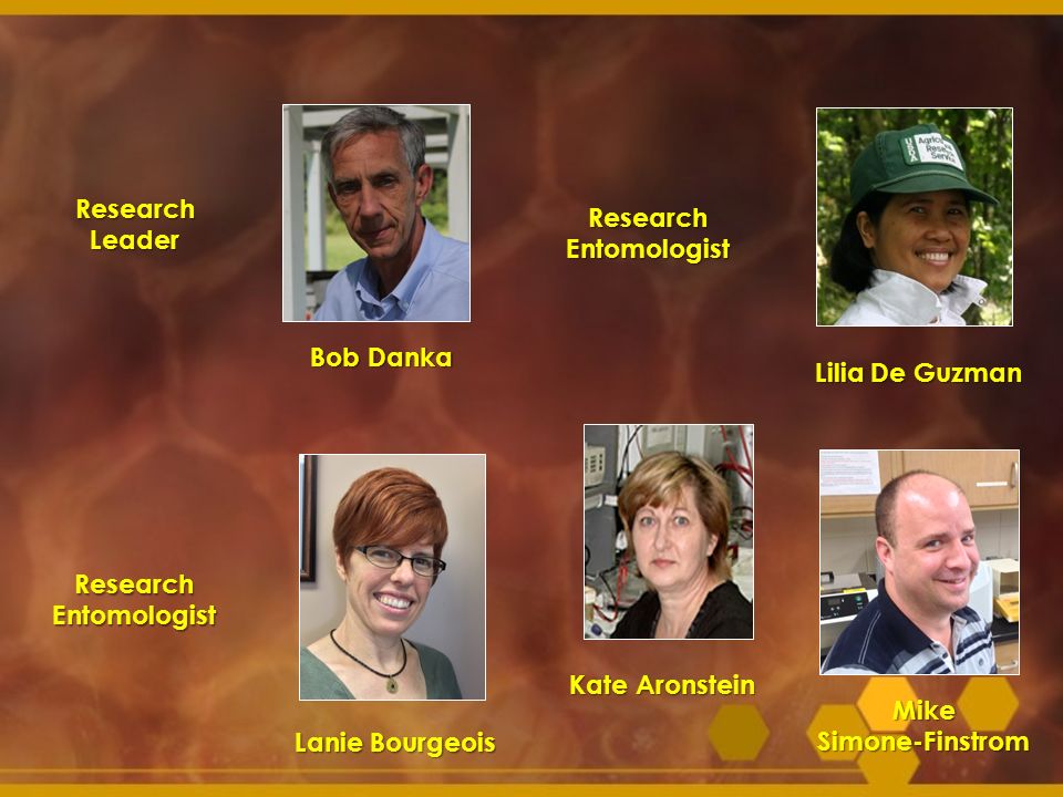 Bob Danka Lilia De Guzman. Research. Leader. Research. Entomologist. Kate Aronstein. Lanie Bourgeois.