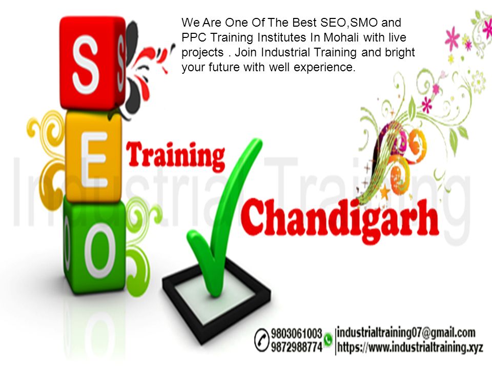We Are One Of The Best SEO,SMO and PPC Training Institutes In Mohali with live projects .