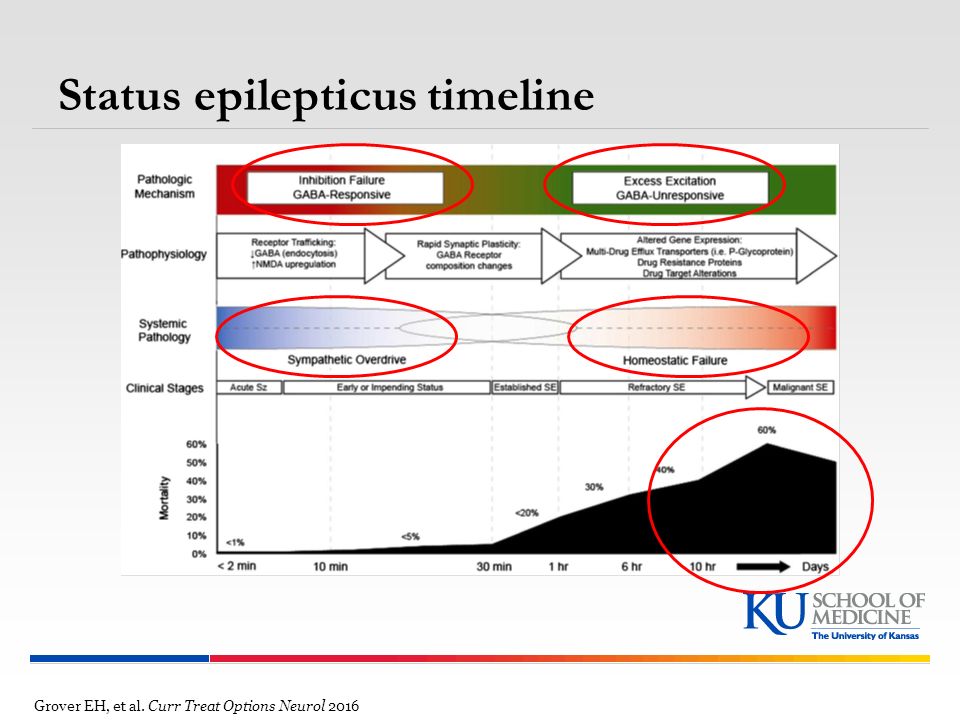 Status epilepticus timeline