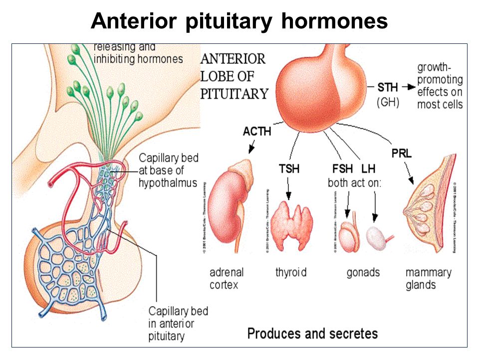Hormone surges after orgasm