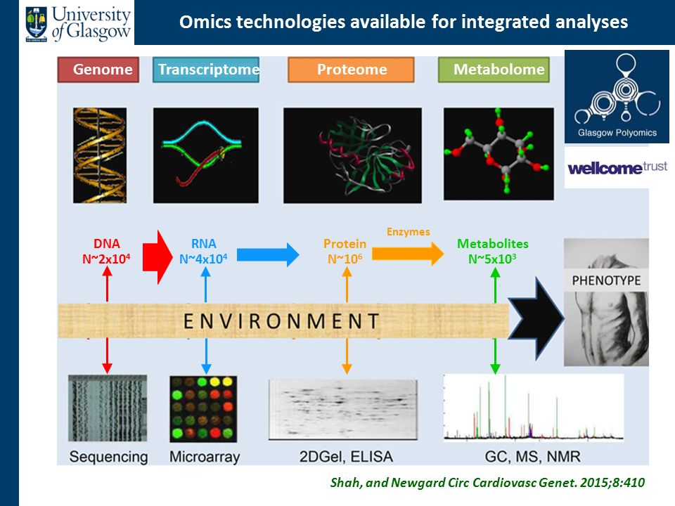 Omics technologies available for integrated analyses
