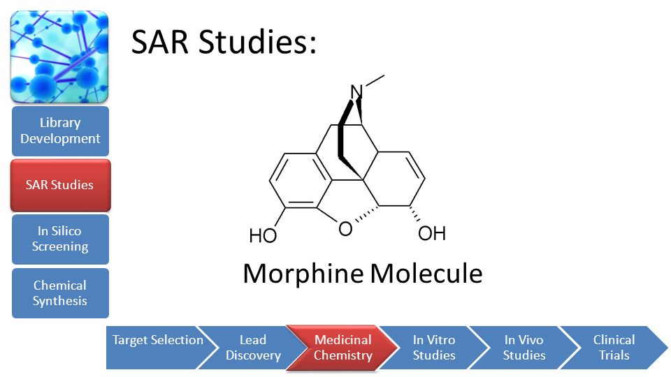 SAR Studies: Morphine Molecule Library Development SAR Studies
