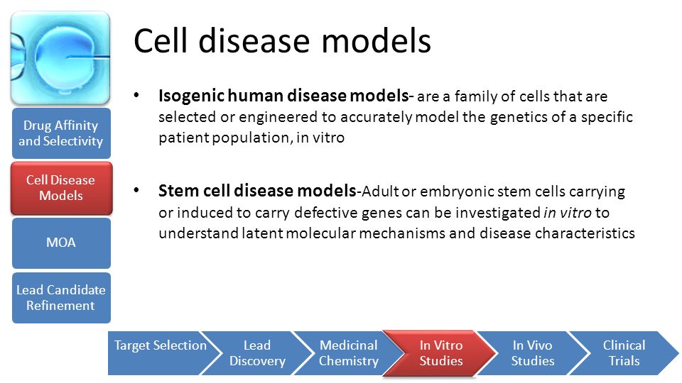 Cell disease models