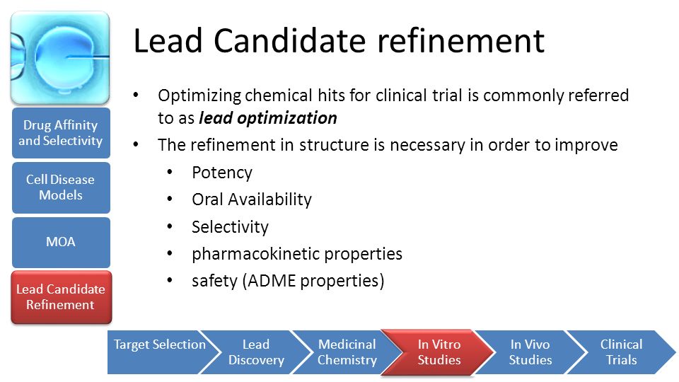 Lead Candidate refinement