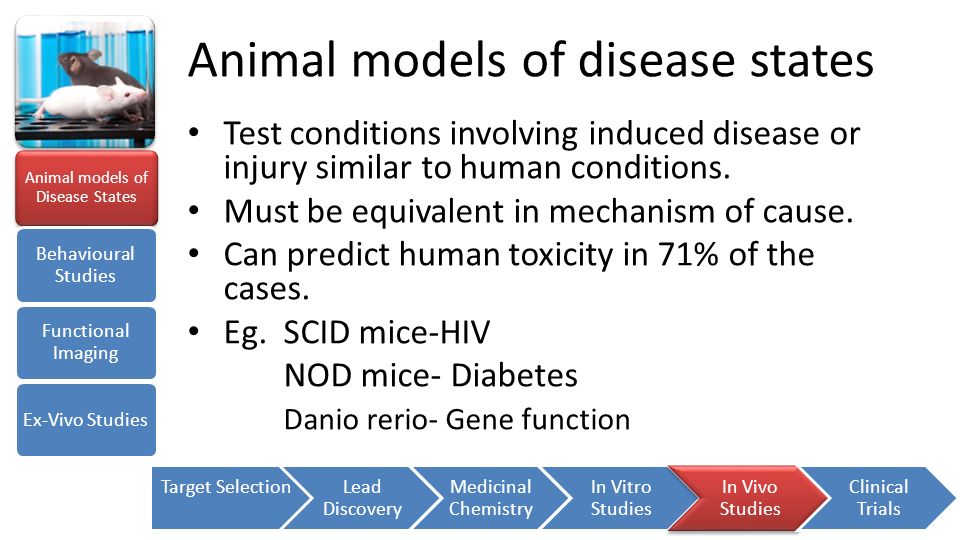 Animal models of disease states