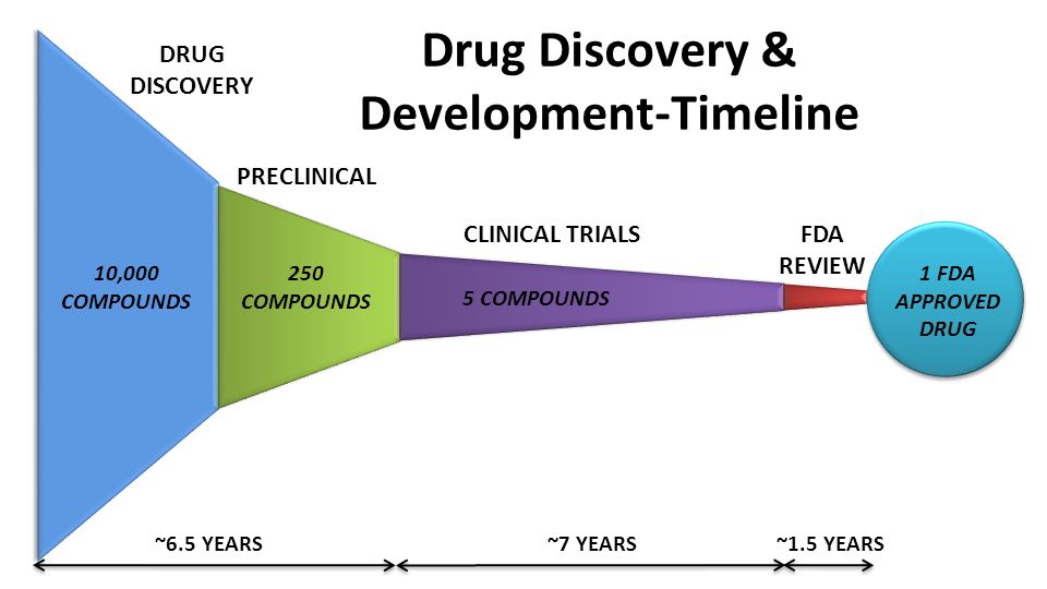 Drug Discovery & Development-Timeline