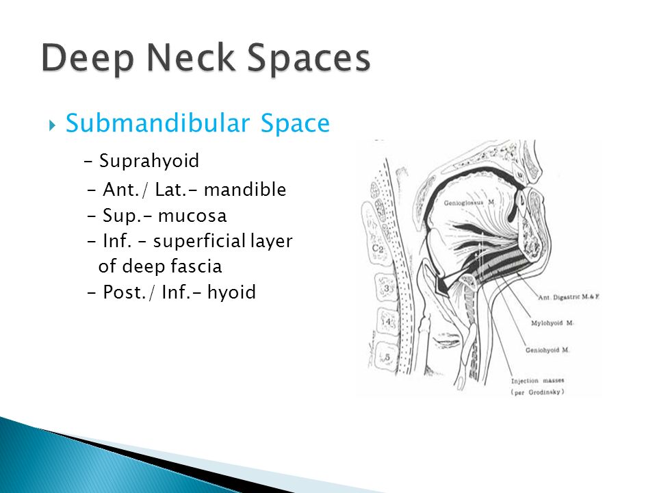 Deep neck