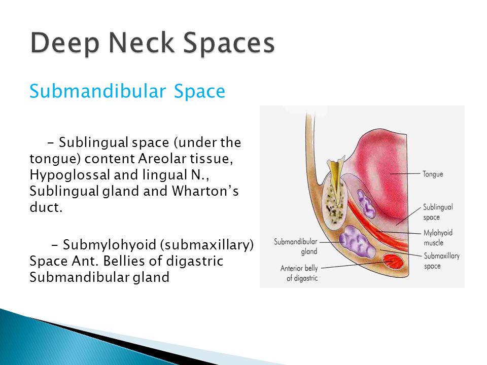 Deep neck