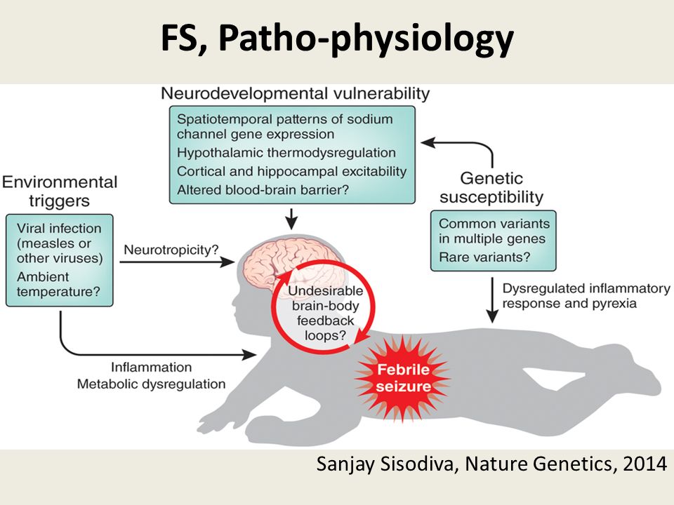 FS, Patho-physiology Sanjay Sisodiva, Nature Genetics, 2014