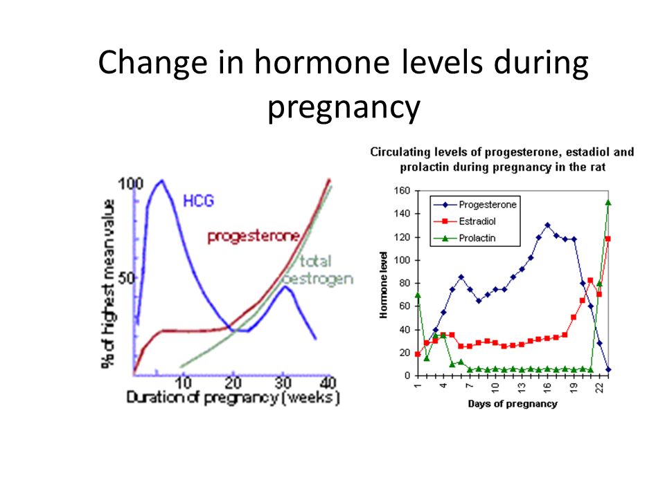 Hormones released during orgasm
