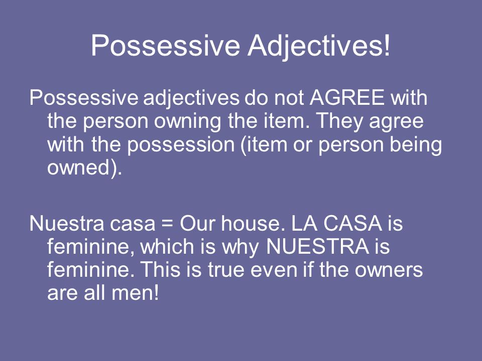 Possessive Adjectives!