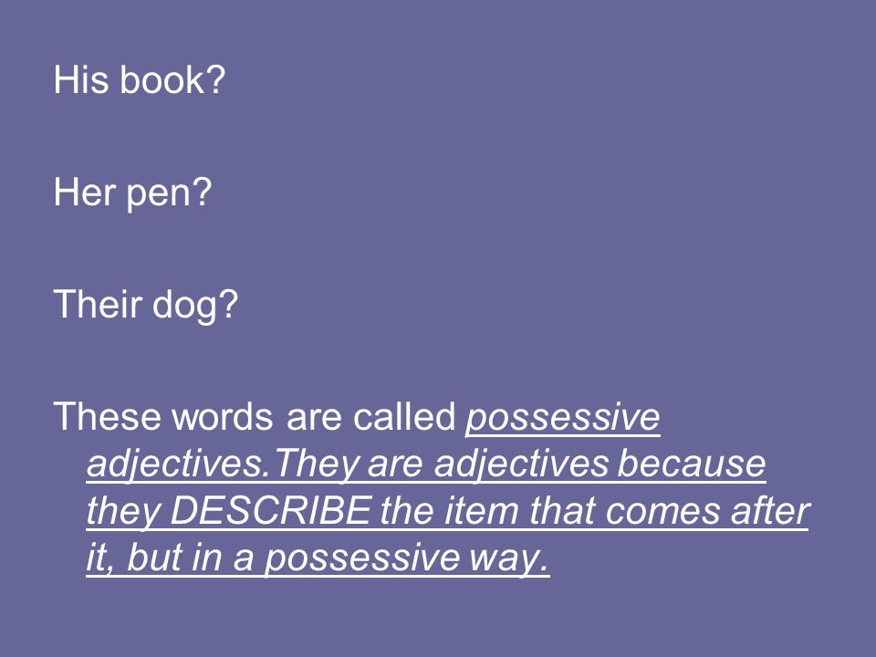 His book Her pen Their dog