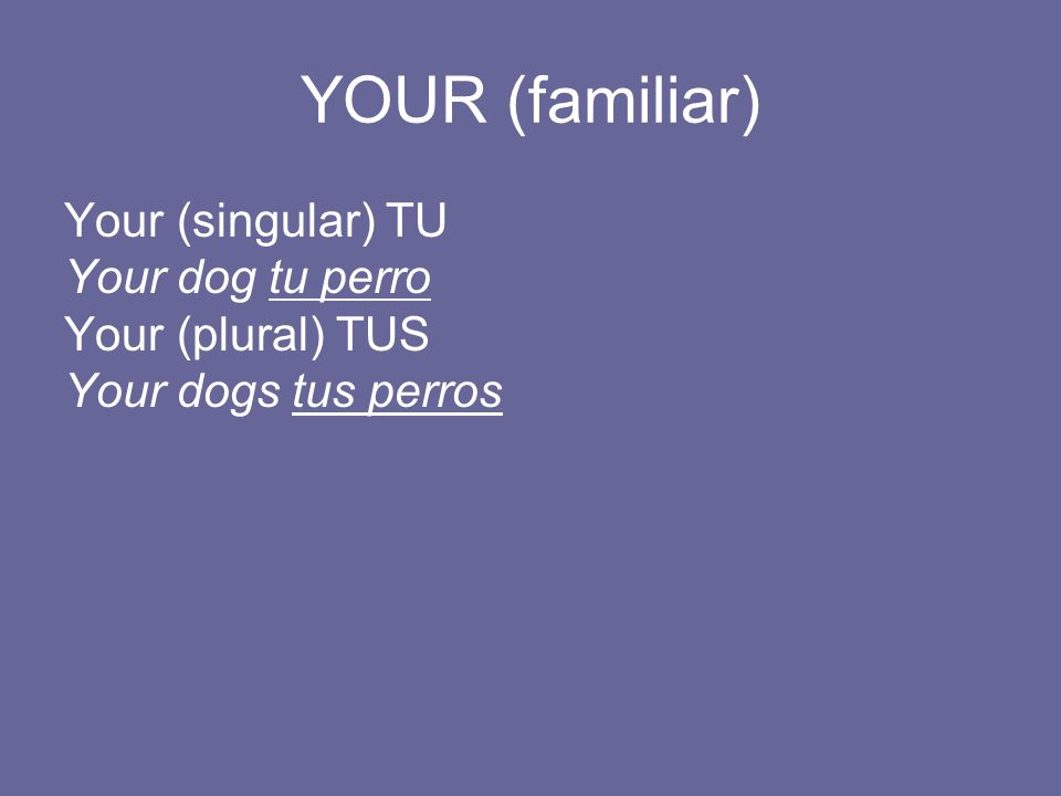 YOUR (familiar) Your (singular) TU Your dog tu perro Your (plural) TUS Your dogs tus perros