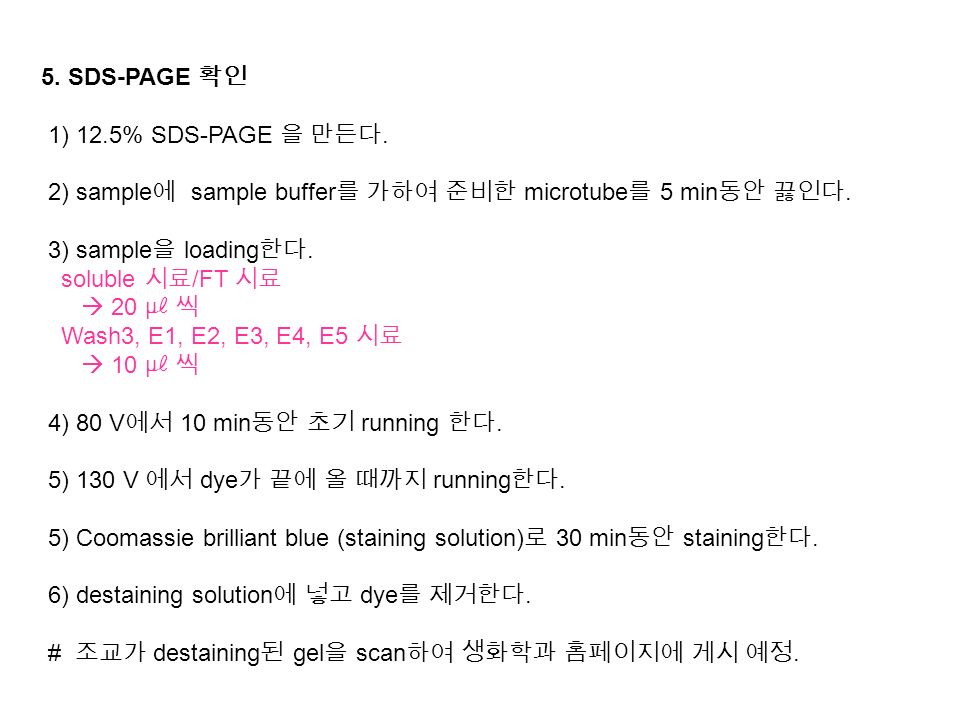 5. SDS-PAGE 확인 1) 12.5% SDS-PAGE 을 만든다. 2) sample에 sample buffer를 가하여 준비한 microtube를 5 min동안 끓인다.