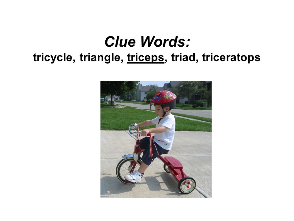 Clue Words: tricycle, triangle, triceps, triad, triceratops