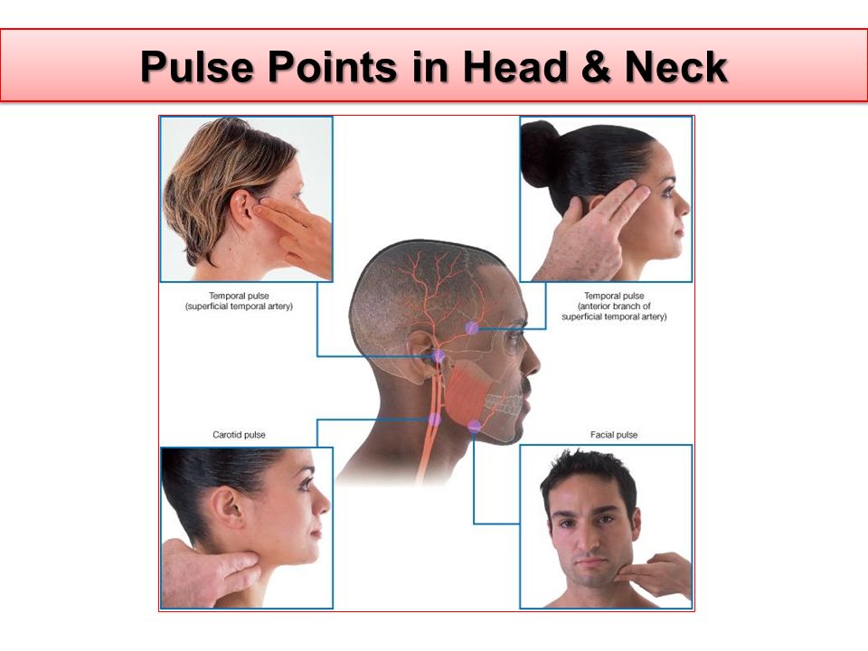 Heartbeatand neck pulse visible compilations