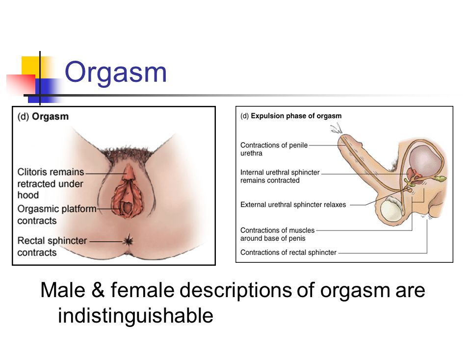 How a guy has multiple orgasms