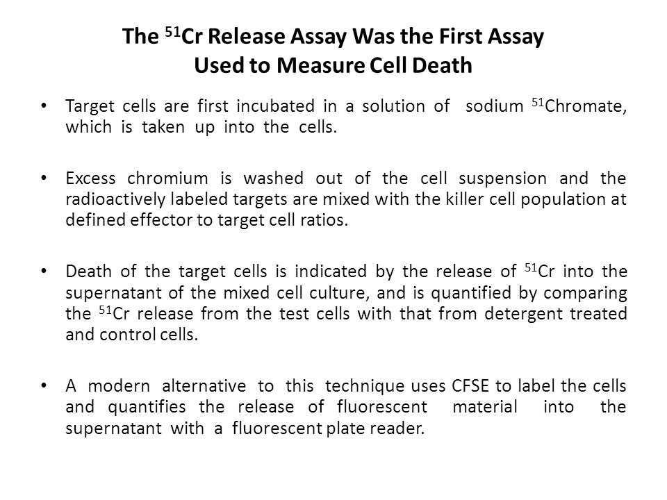 The 51Cr Release Assay Was the First Assay Used to Measure Cell Death