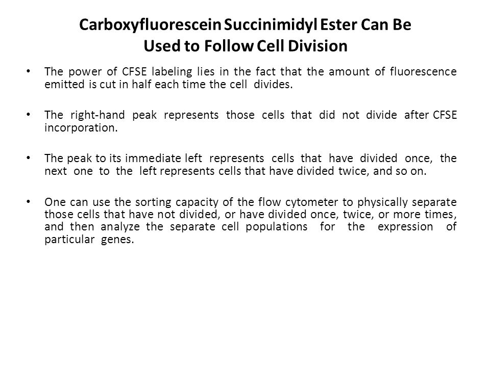 Carboxyfluorescein Succinimidyl Ester Can Be Used to Follow Cell Division