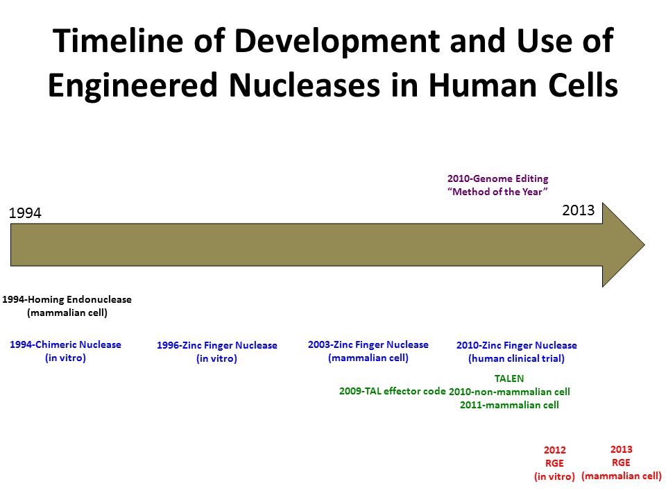 Timeline of Development and Use of Engineered Nucleases in Human Cells