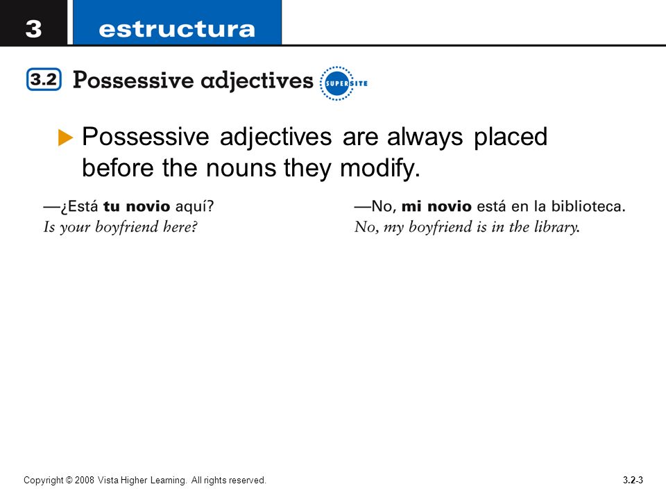 Possessive adjectives are always placed before the nouns they modify.