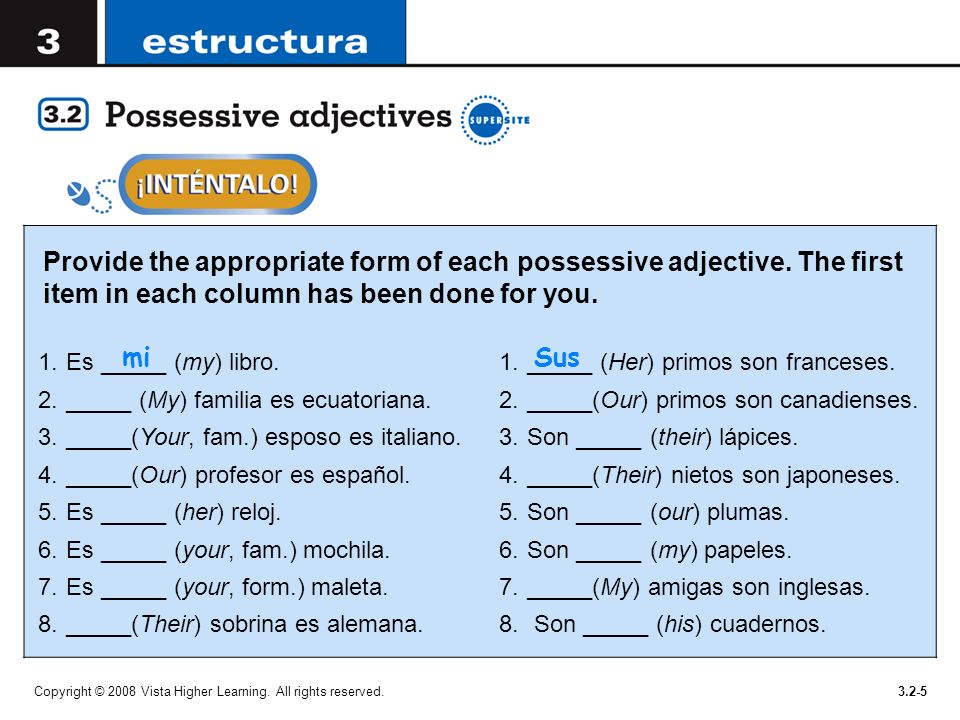 Provide the appropriate form of each possessive adjective