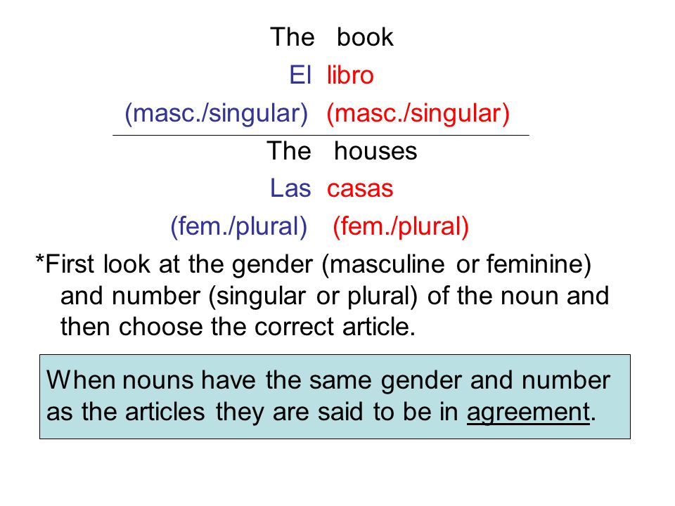 The book El libro. (masc./singular) (masc./singular) The houses. Las casas. (fem./plural) (fem./plural)