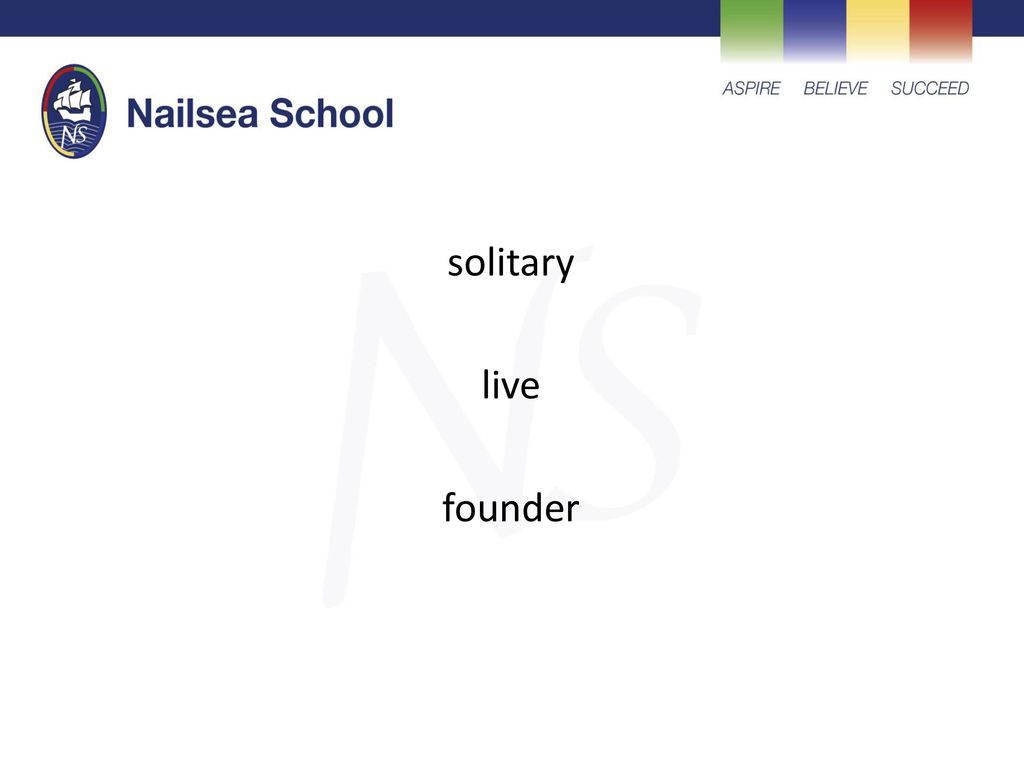 solitary live founder