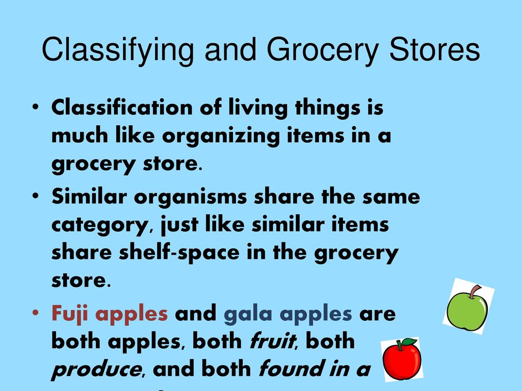 Classifying and Grocery Stores