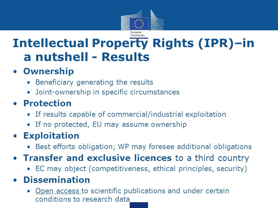 Intellectual Property Rights (IPR)–in a nutshell - Results