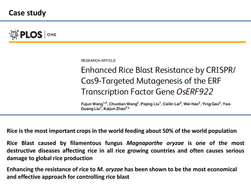 Case study Rice is the most important crops in the world feeding about 50% of the world population.