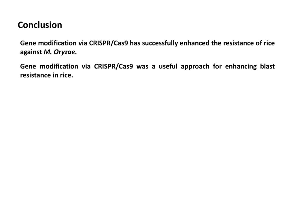 Conclusion Gene modification via CRISPR/Cas9 has successfully enhanced the resistance of rice against M. Oryzae.