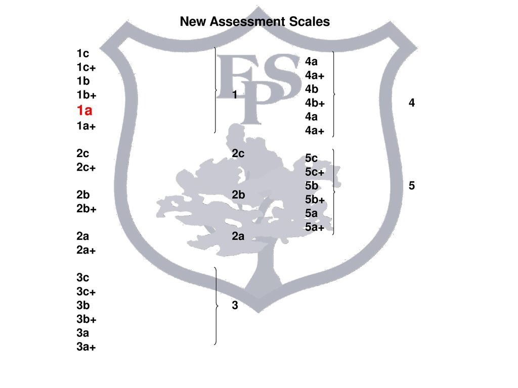 1a New Assessment Scales 1c 1c+ 1b 1b+ 1 1a+ 2c 2c 2c+ 2b 2b 2b+ 2a 2a