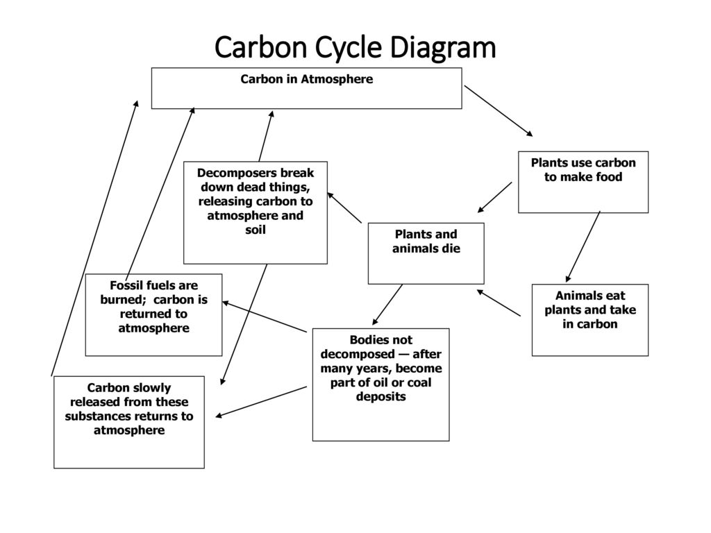 Carbon Cycle Diagram Carbon in Atmosphere