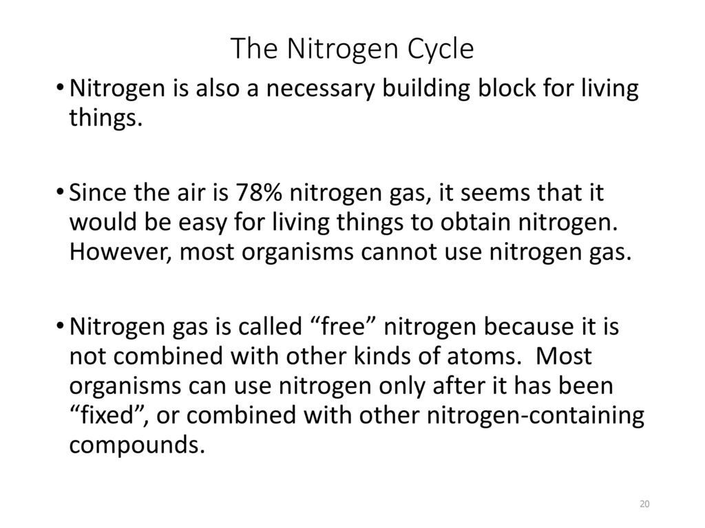 The Nitrogen Cycle Nitrogen is also a necessary building block for living things.