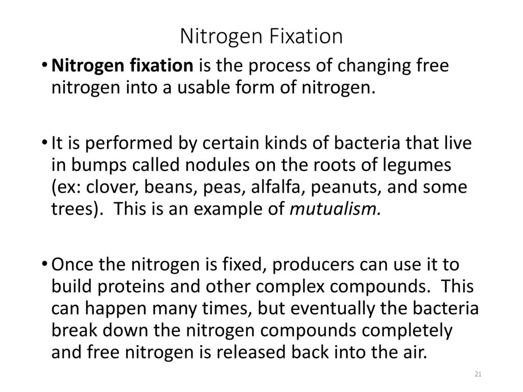 Nitrogen Fixation Nitrogen fixation is the process of changing free nitrogen into a usable form of nitrogen.